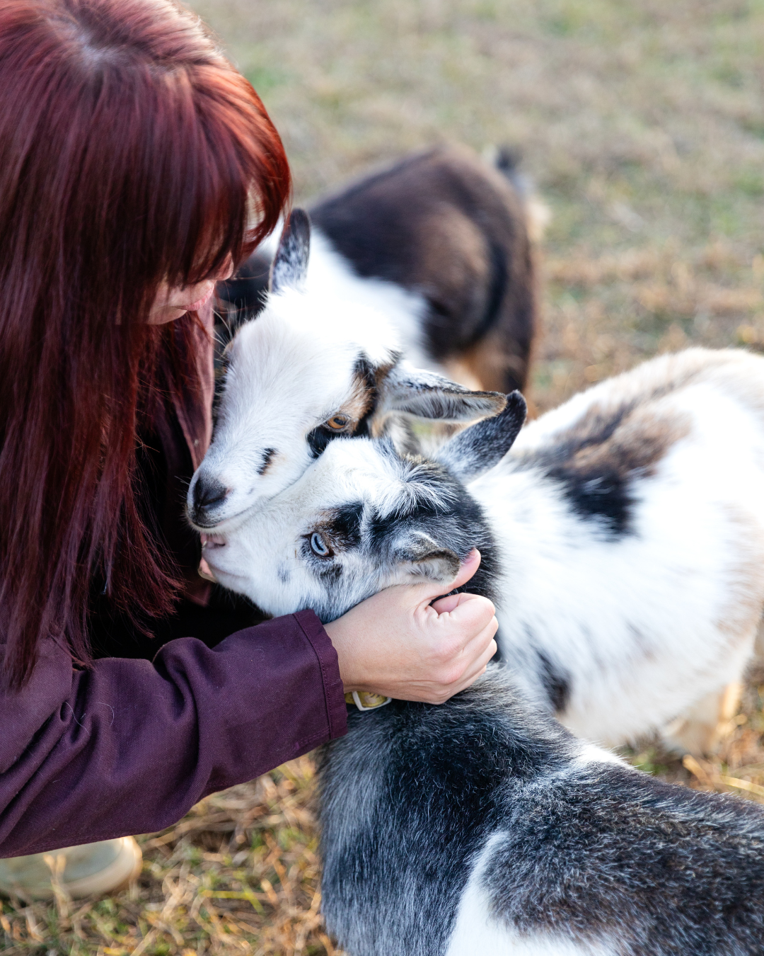 Lady with goats 