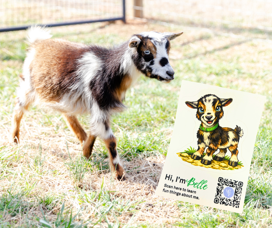 Belle with her sticker