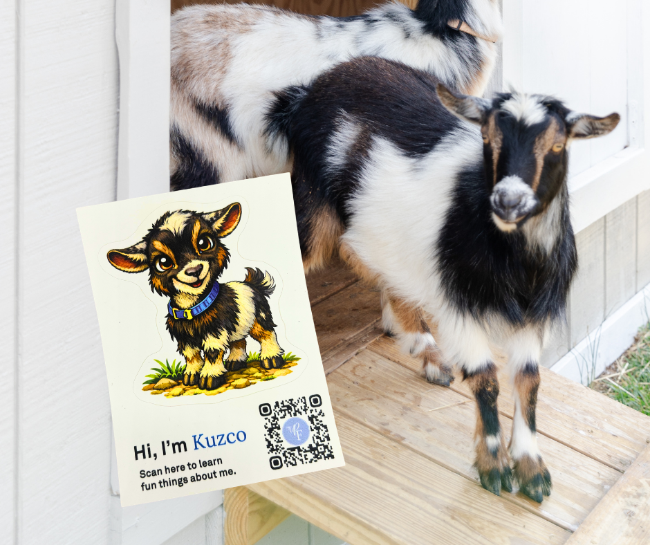 Kuzco with his sticker