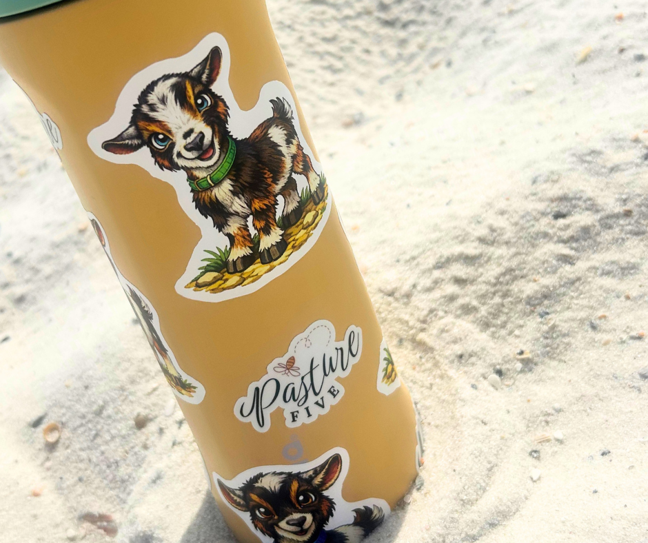 Tall yellow drink container with goat stickers on a sandy background