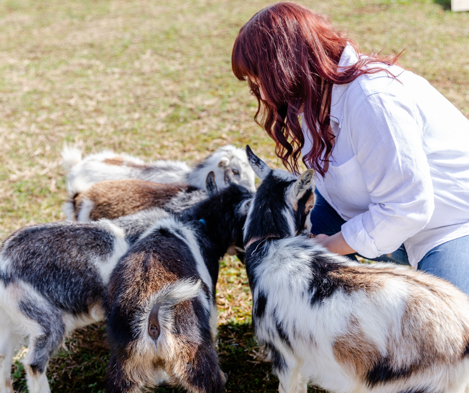 Woman interacting with a group of goats in an outdoor setting